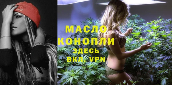 крисы Верхний Тагил