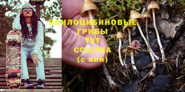 крисы Верхний Тагил