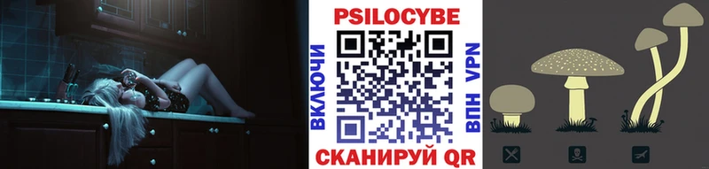 Псилоцибиновые грибы мухоморы hydra как войти Волосово